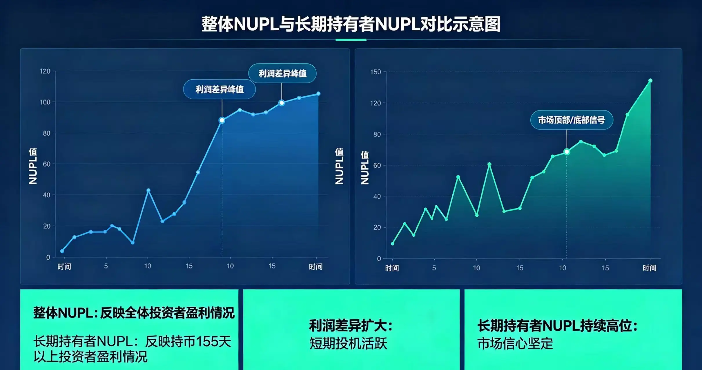 NUPL 持有者对比，呈现整体与长期持有者的利润差异与市场含义
